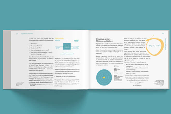 Capítulo livro Agile People Principles sobre Propósito e Significado, autoria do Gustavo couto